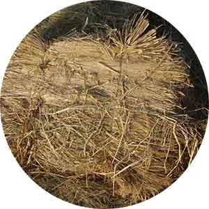 TCPEL AGRO-STRAW-UNCRUSHED