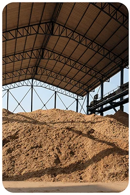TCPEL bagasse