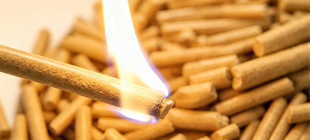 TCPEL Bamboo Pellet Machine
