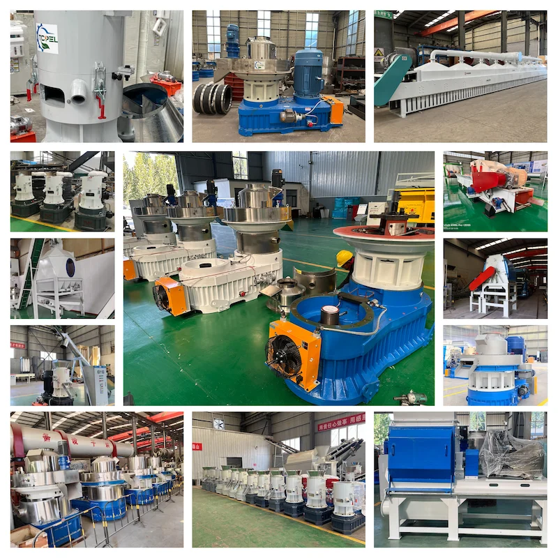 TCPEL Biogas Residue Pellet Machine