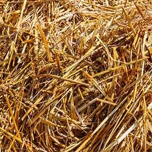 TCPEL Biomass Pellet Mill
