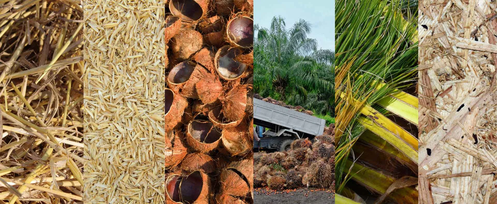 TCPEL biomass-waste