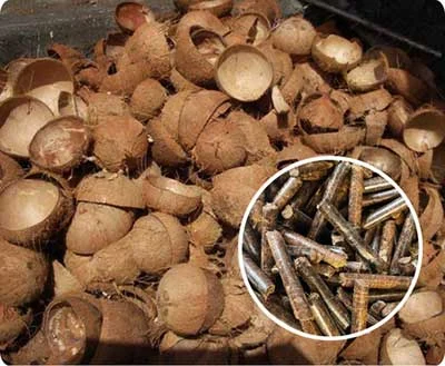 TCPEL Coconut-Shell-Pellet-Mill