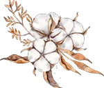 TCPEL cottonspm-1 TCPEL cottonspm-1