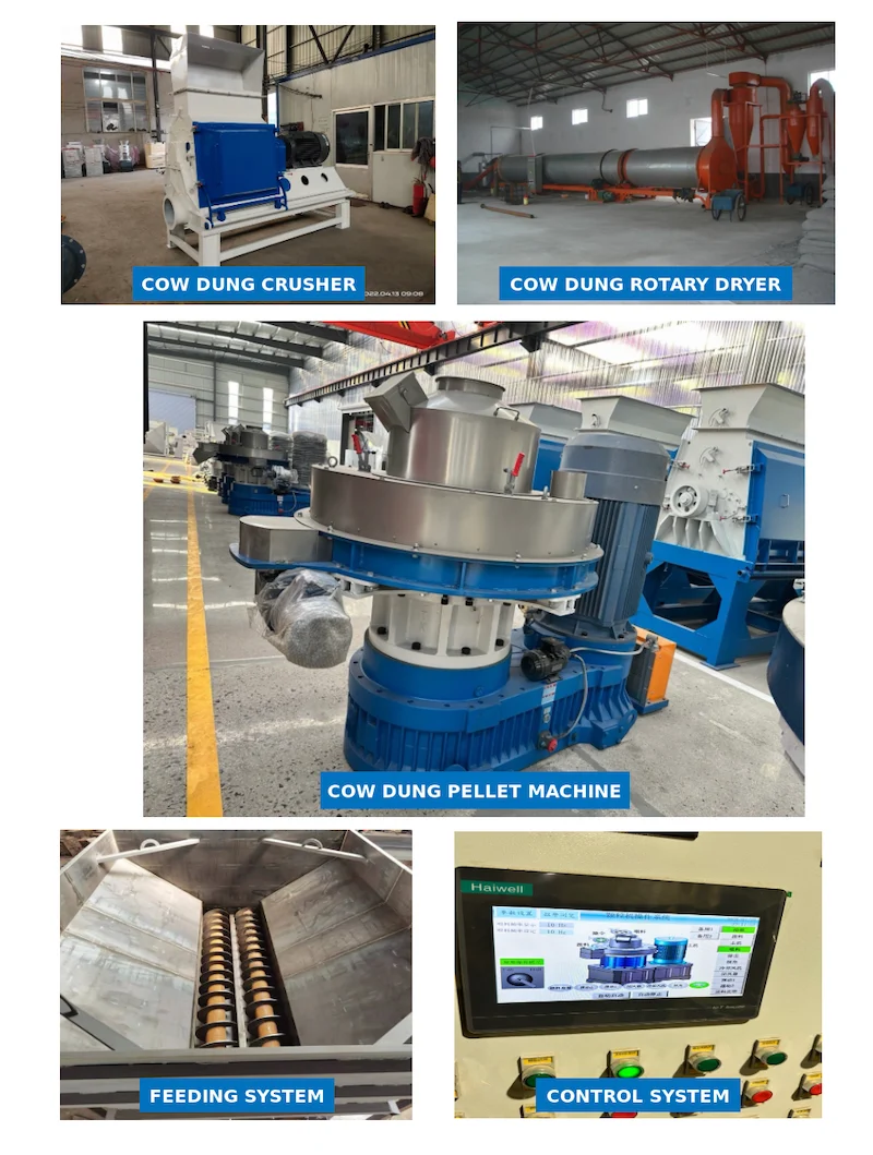 TCPEL Cow Dung Pellet Machine