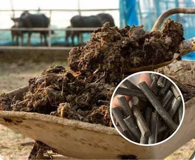 TCPEL Cow-Dung-Pellet-Mill