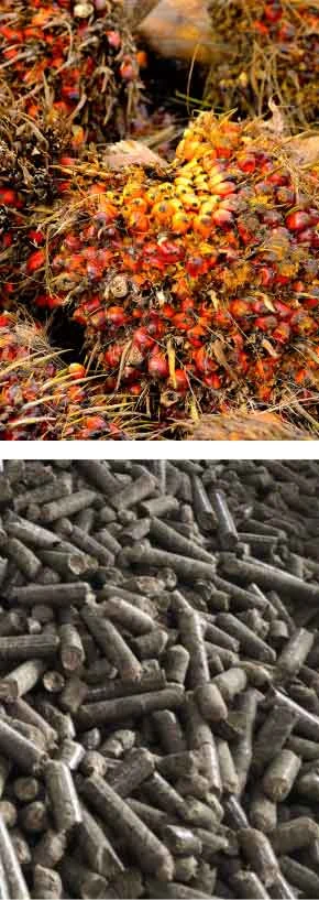 TCPEL EFB-pellets