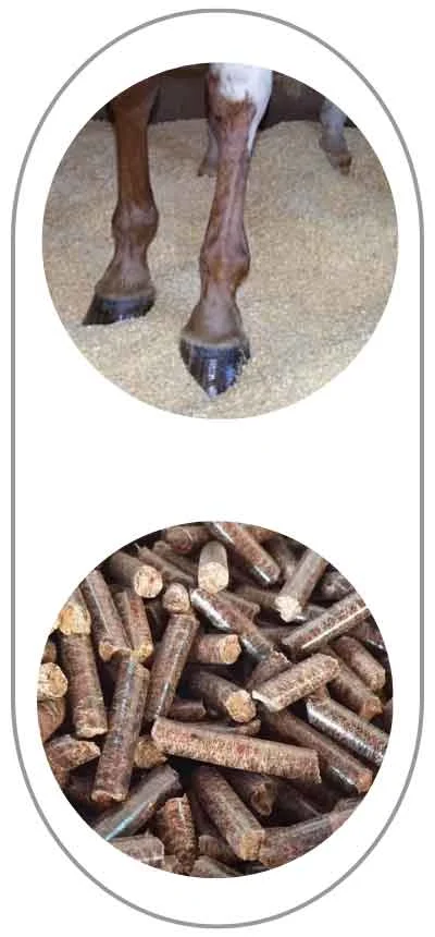TCPEL kx-grass-pellet-making-machine-turn-grass-into-bedding-pellets