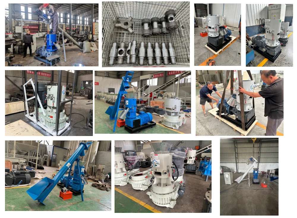 TCPEL Mini Wood Pellet Machine