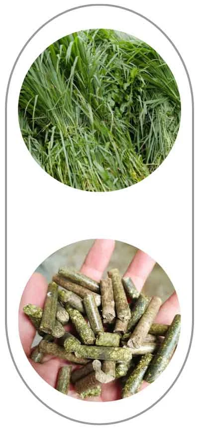TCPEL kx-grass-pellet-machin-turn-napier-grass-into-animals-feeding-pellets