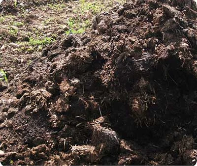 TCPEL Organic-Fertilizer-Pellet-for-Planting