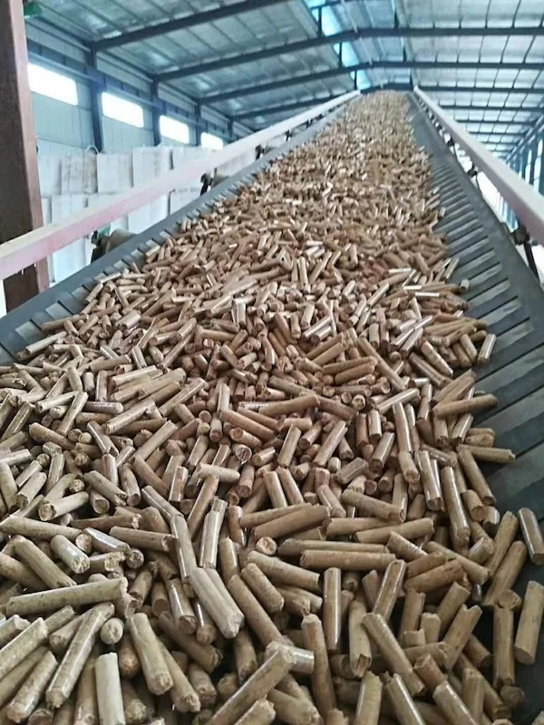 TCPEL Paddy Straw Pellet Mill