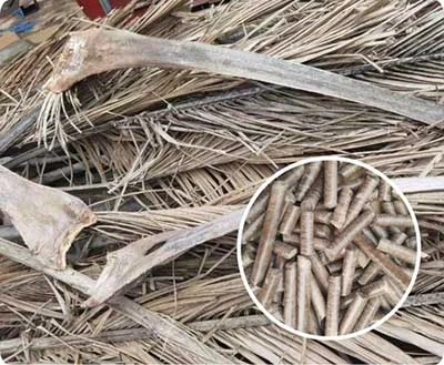 TCPEL Palm-Leaf-Pellet-Mill