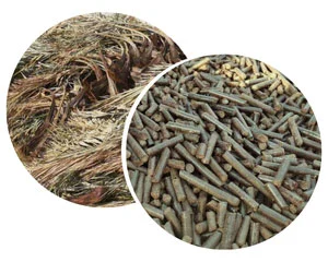 TCPEL Palm-Tree-Leaves-Pellet-Machine