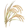 TCPEL Pellet Machine & Pellet Plant Manufacturer