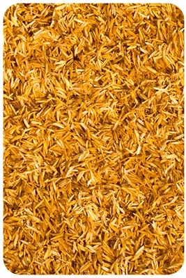 TCPEL Pellet Machines and Pellet Production Lines