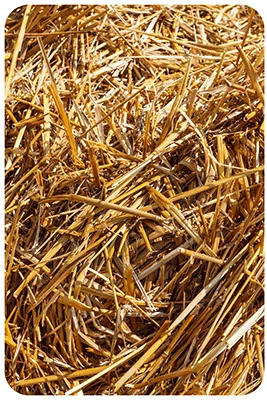 TCPEL Pellet Machines and Pellet Production Lines