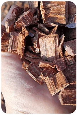 TCPEL Pellet Machines and Pellet Production Lines