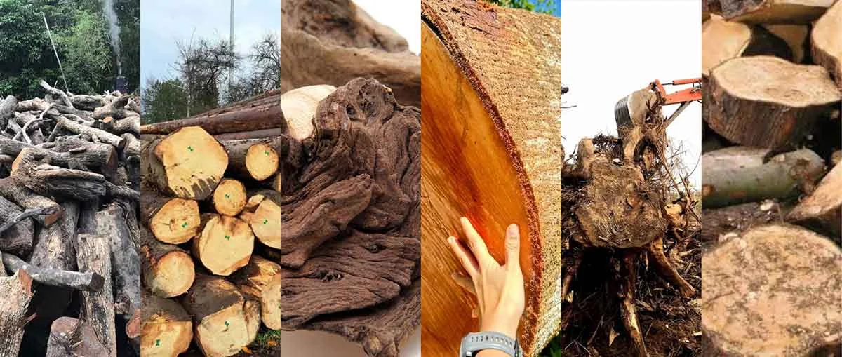 TCPEL RAW-MATERIAL-APPLICATION-OF-INDUSTRIAL-WOOD-SPLITTER