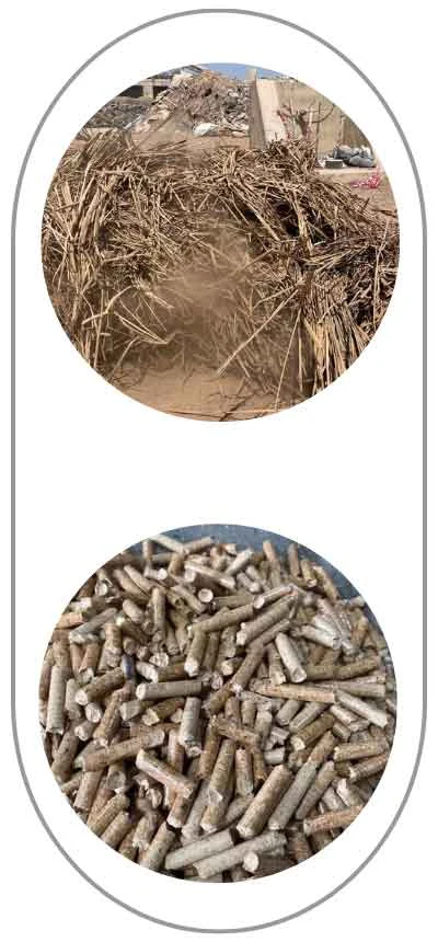 TCPEL kx-grass-pellet-mill-turn-reeds-into-fuel-pellets