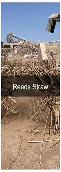 TCPEL Reeds-Straw
