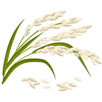TCPEL Rice Husk Pellet Machine Manufacturer