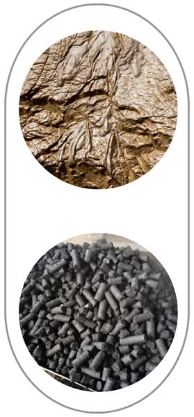 TCPEL sludge-from-food-processing