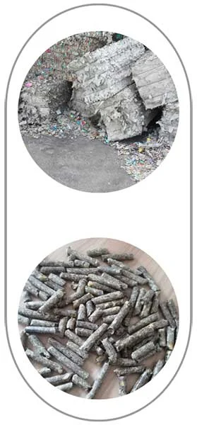 TCPEL Sludge Pellet Machine