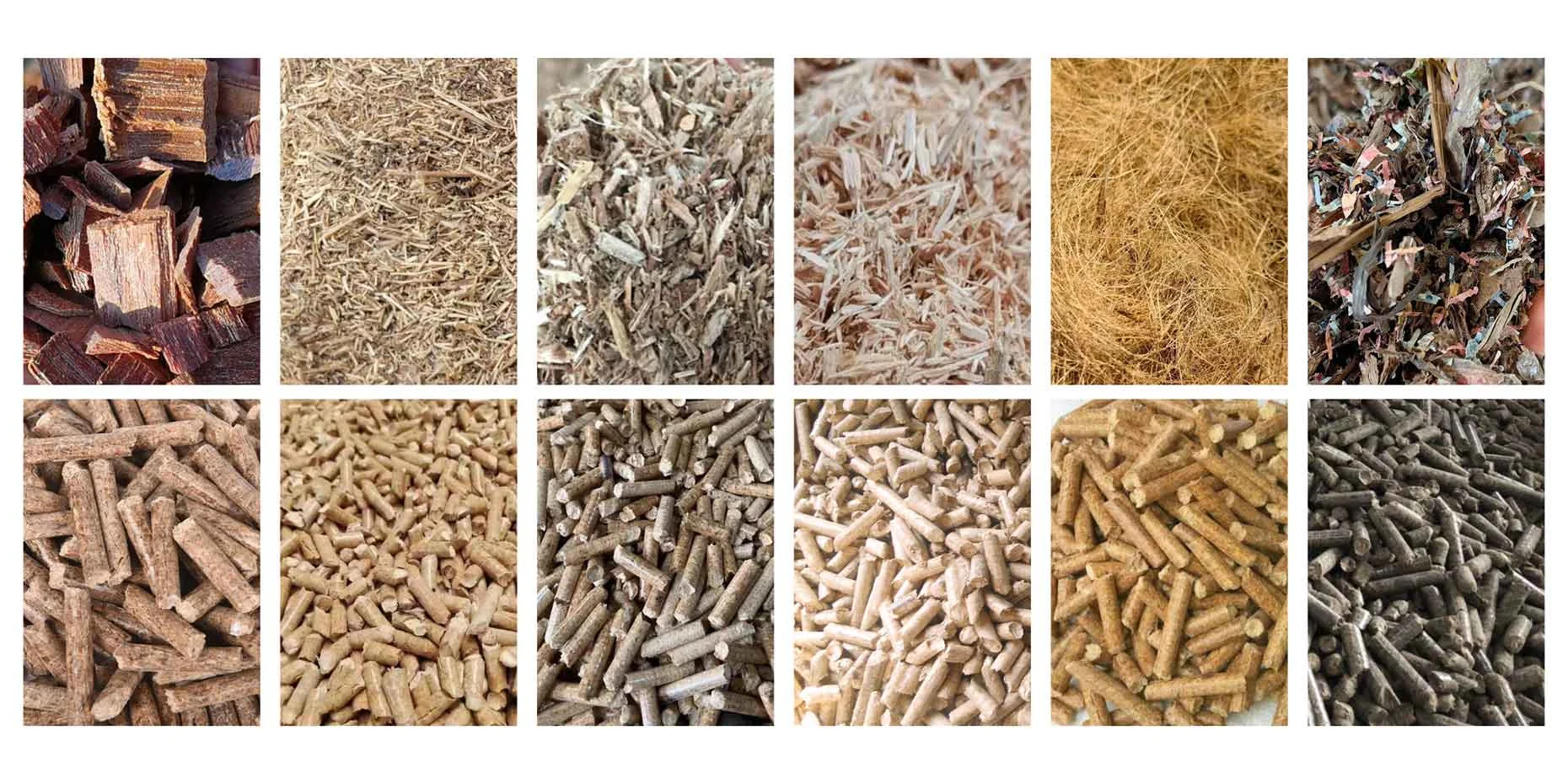 TCPEL Small Wood Pellet Press