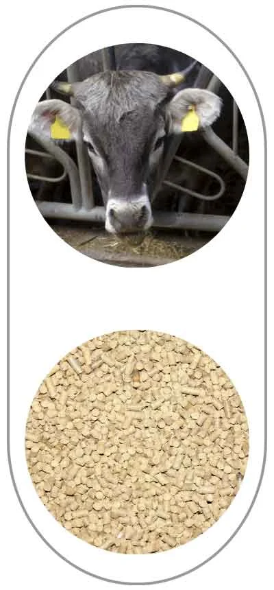 TCPEL kx-straw-feed-pellet-for-animals