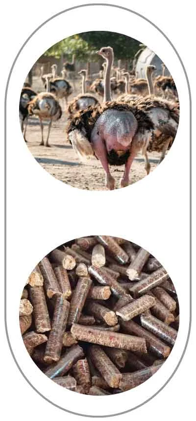 TCPEL Straw Pellet Machine