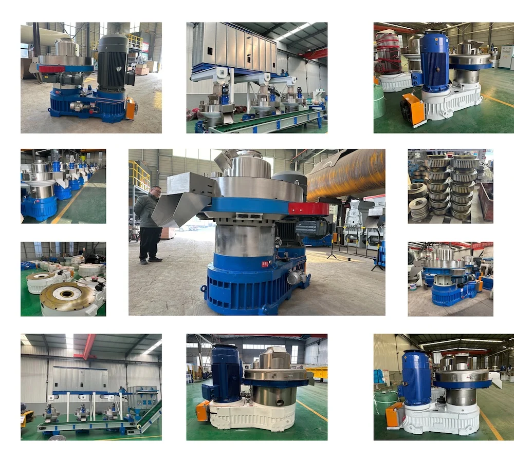 TCPEL sunflower-seed-pellet-plant-factory