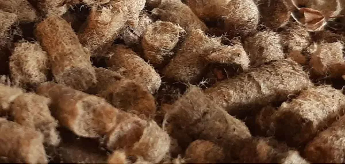 TCPEL the-use-of-wool-pellets