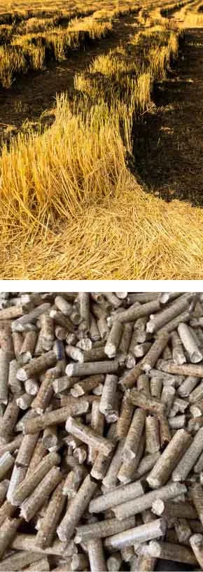 TCPEL Vertical Ring Die Pellet Machine