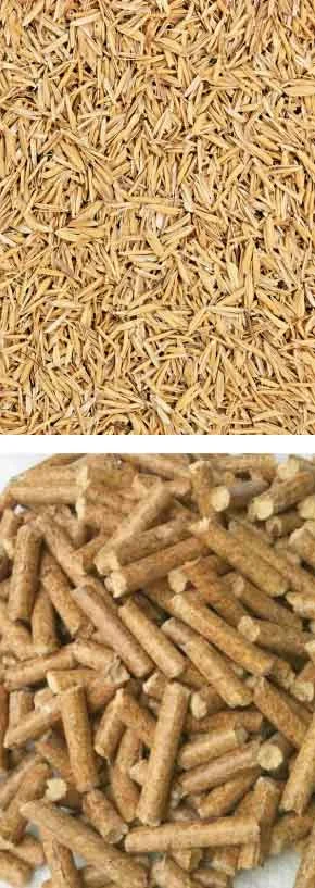 TCPEL Vertical Ring Die Pellet Machine