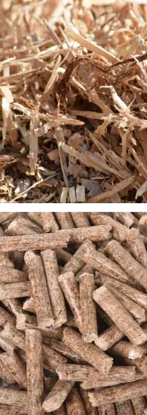 TCPEL Vertical Ring Die Pellet Machine