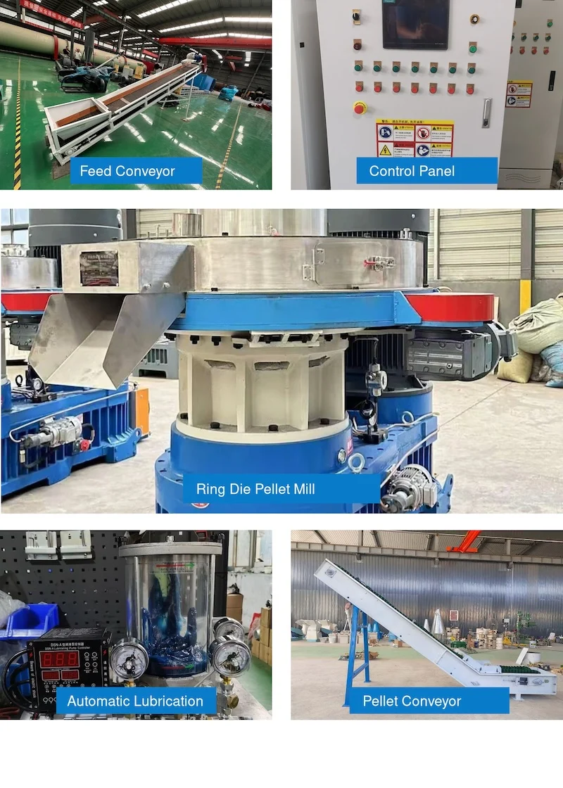 TCPEL Vertical-ring-die-pellet-mill-working-principle
