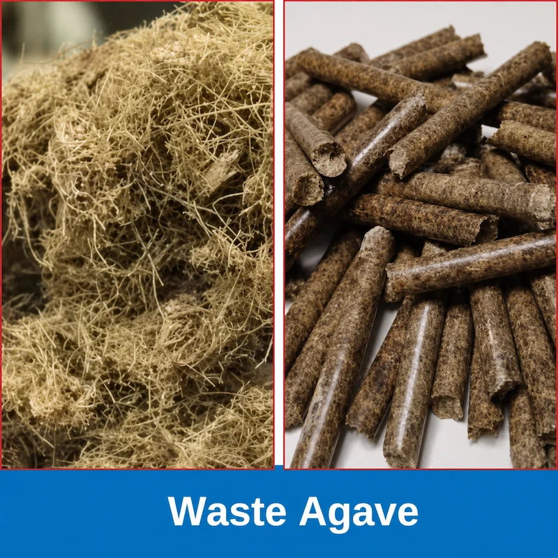TCPEL Waste-Agave-Pellets