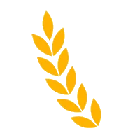 TCPEL wheat