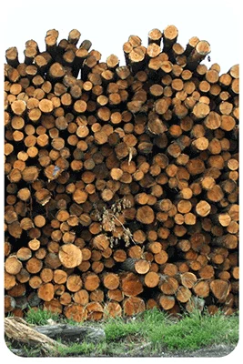 TCPEL wood-logs