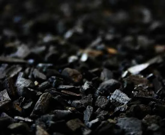 TCPEL Wood Pellet Plant