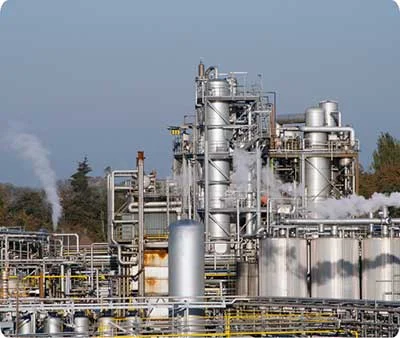 TCPEL Wood-Sawdust-for-Power-Plant