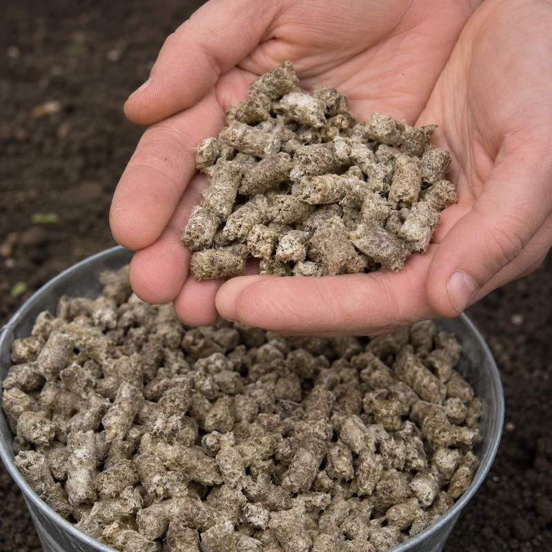 TCPEL Wool Pellet Machine