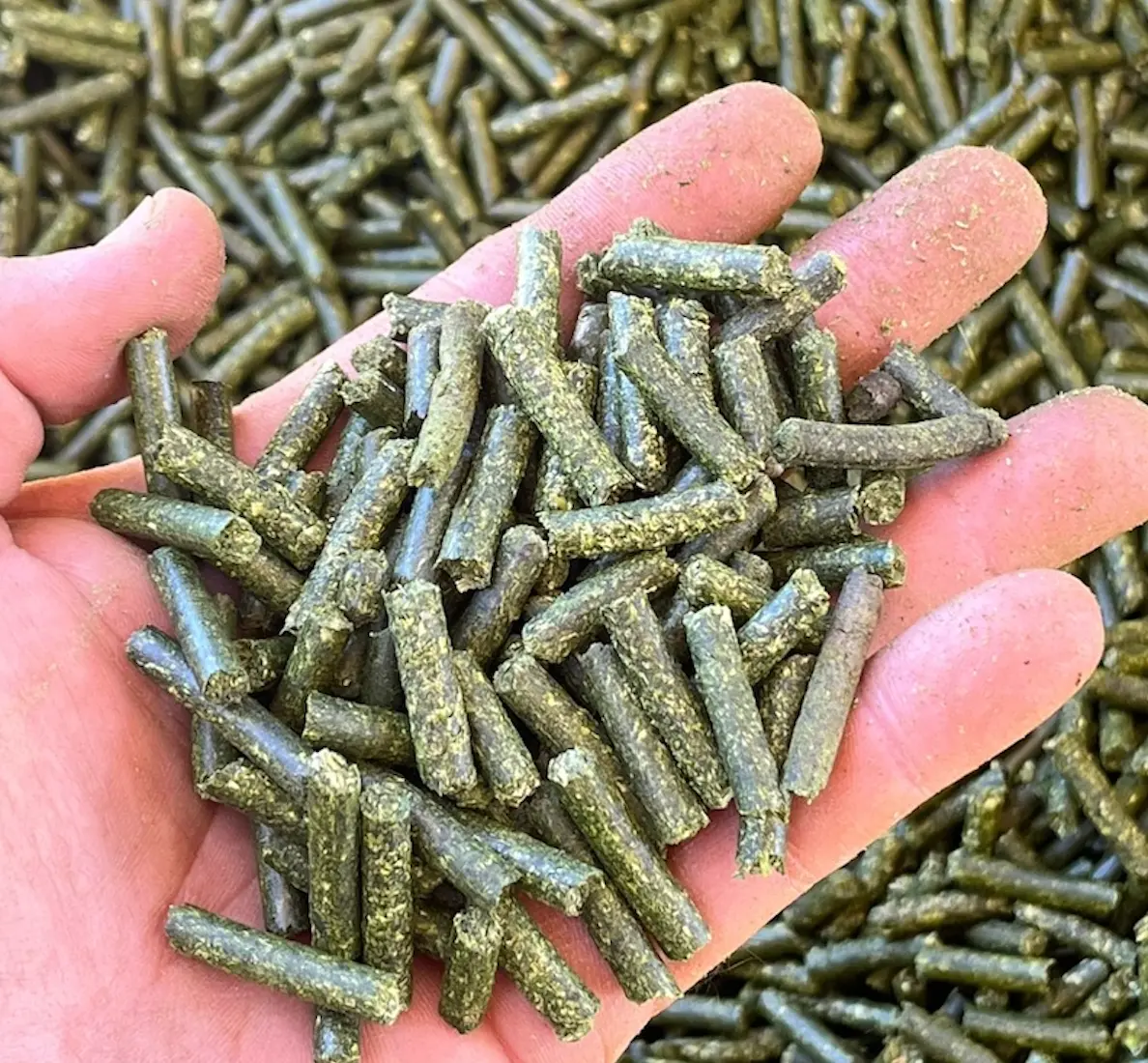 TCPEL Alfalfa-Feed-Pellets